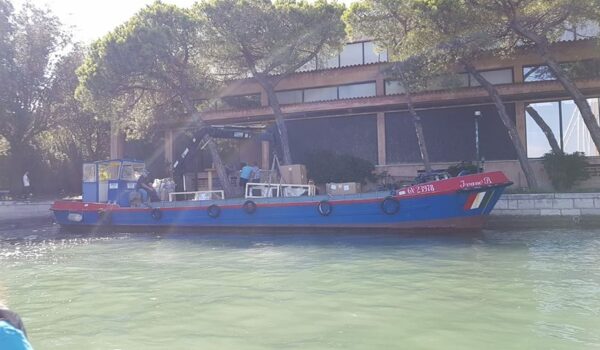 41450662_2644316752460330_393896059216068608_n